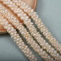 Button Kulturan Slatkovodni Pearl perle, bijel, Prodano Per Približno 42-45 cm Strand