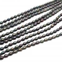Perlas Arroz Freshwater, Perlas cultivadas de agua dulce, Bricolaje, Negro, 6-7mm, Vendido para 35-38 cm Sarta