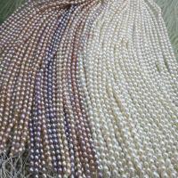 Perles d'eau douce de culture de riz, perle d'eau douce cultivée, DIY, plus de couleurs à choisir, 6-7mm, Vendu par Environ 38 cm brin