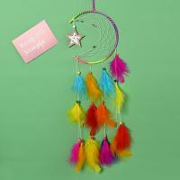 Fashion Dream Catcher Feather with Wood & Iron handmade multi-colored Length 23.62 Inch Sold By PC