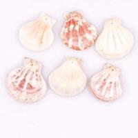 Shell Pendants no hole mixed colors 35-40mm Sold By PC