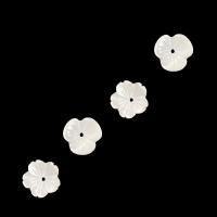 Λευκή κέλυφος λουλουδιών Χάντρα Cap, DIY, λευκό, 10mm, Sold Με Strand