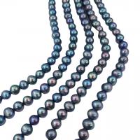 淡水養殖の真円真珠, 天然有核フレッシュウォーターパール, ラウンド形, ブラック, 8-9mm, 約 50パソコン/ストランド, で販売される 約 15.7 インチ ストランド