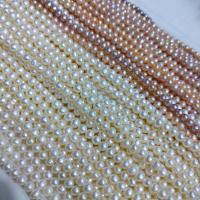 Perlas Redondas Freshwater, Perlas cultivadas de agua dulce, Esférico, más colores para la opción, 4-4.5mm, Vendido para aproximado 15.7 Inch Sarta