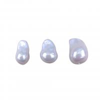 Natural Freshwater Pearl Loose Beads, Shell, irregular, different size for choice, white, Sold By PC