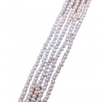 Barok ferskvandskulturperle Beads, Ferskvandsperle, Naturligt & du kan DIY, hvid, 2.5-3, Solgt Per 36-40 cm Strand