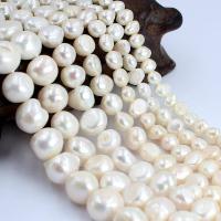 Knap ferskvandskulturperle Beads, Ferskvandsperle, naturlig, du kan DIY & forskellig størrelse for valg, hvid, Solgt Per Ca. 14.17 inch Strand