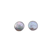 Button Kulturan Slatkovodni Pearl perle, Button Shape, Prirodno & možete DIY, bijel, 16-17mm, Prodano By PC