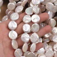 Perlas Moneda Freshwater, Perlas cultivadas de agua dulce, Natural & Bricolaje, Blanco, 15-16mm, Vendido para 39 cm Sarta