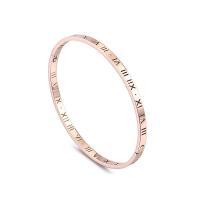 Titanium Steel Bangle, plated, for woman, more colors for choice, 58x4mm, Sold By PC