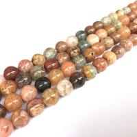 Ocean Jasper Beads Round polished DIY mixed colors Sold Per Approx 38 cm Strand