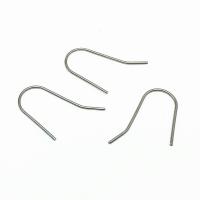 Stainless Steel Hook Earwire 316 Stainless Steel machine polished fashion jewelry & DIY & Unisex original color Sold By PC