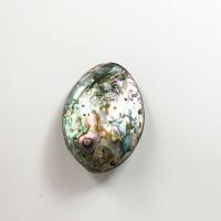 Natural Abalone Shell Pendants, mixed colors, 55x38x10mm, Sold By PC