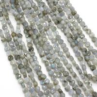 Natural Quartz Jewelry Beads, Black Rutilated Quartz, Flat Round, DIY & faceted, 6mm, Sold Per Approx 14.17 Inch Strand