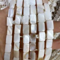 Natural Freshwater Shell Beads Rectangle polished DIY white Sold Per 15 Inch Strand