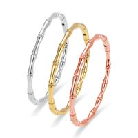 Titanium Steel Bangle fashion jewelry & for woman Length 17 cm Sold By PC
