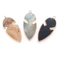Gemstone Pendants Jewelry Natural Stone with Brass Fish gold color plated & Unisex Sold By PC