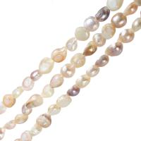 Barocco coltivate in acqua dolce Perla, perla d'acquadolce coltivata naturalmente, Pepite, colori misti, grado A, 11-12mm, Foro:Appross. 0.8mm, Venduto per 15 pollice filo