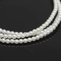 Perles de nacre rondes de culture d'eau douce, perle d'eau douce cultivée, Naturel & DIY, blanc, 3.8-4mm, Vendu par 36-38 cm brin
