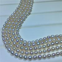 Přírodní Sladkovodní Pearl náhrdelník, pro ženy, bílý, 5-6mm, Délka 39-42 cm, Prodáno By PC