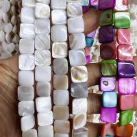 Natural Freshwater Shell Beads,  Square, polished, DIY, more colors for choice, 12mm, Sold Per Approx 38 Strand