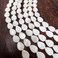 Perles naturelles de coquillage d'eau douce , coquille d'eau douce, larme, DIY, blanc, 10x14mm, Vendu par Environ 40 cm brin