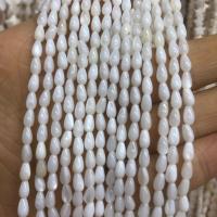 Naturlig Freshwater Shell Perler, Teardrop, du kan DIY, hvid, Solgt Per Ca. 39 cm Strand
