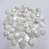 Pendentifs coquillage, Shell américain, gravé, blanc, 12x15mm, Vendu par PC