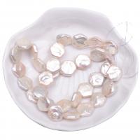 Tlačítko kultivované sladkovodní Pearl Beads, DIY, bílý, 13mm, 33PC/Strand, Prodáno za Cca 38 cm Strand