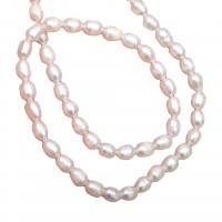 Perlas Arroz Freshwater, Perlas cultivadas de agua dulce, Bricolaje, Blanco, 4-5mm, Vendido para 35-37 cm Sarta