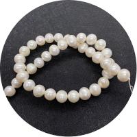 Cultured Round Freshwater Pearl Beads polished DIY white Sold Per Approx 14.96 Inch Strand