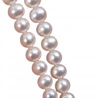 Barocco coltivate in acqua dolce Perla, perla d'acquadolce coltivata naturalmente, DIY, bianco, 7-8mm, Venduto per 36-38 cm filo