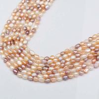 Perle perline Keishi coltivate d'acqua dolce, perla d'acquadolce coltivata naturalmente, DIY, colori misti, Venduto per Appross. 36 cm filo