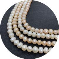 Cultured Round Freshwater Pearl Beads, polished, DIY & different size for choice, more colors for choice, Sold Per Approx 14.96 Inch Strand