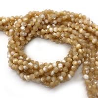 Trochus Shell Beads, Round, DIY & different size for choice & faceted, Sold Per Approx 14.96 Inch Strand