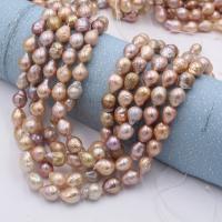 Perles nacres baroques de culture d'eau douce , perle d'eau douce cultivée, DIY, multicolore, 10x13mm, 33PC/brin, Vendu par Environ 38 cm brin