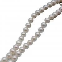 Runde ferskvandskulturperle Beads, Ferskvandsperle, du kan DIY, hvid, 5-6mm, Solgt Per 36-38 cm Strand