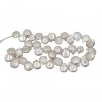 Perles nacres baroques de culture d'eau douce , perle d'eau douce cultivée, DIY, blanc, 10x15mm, Environ 40PC/brin, Vendu par Environ 38 cm brin