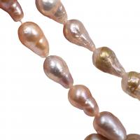 Perla Barroca Freshwater, Perlas cultivadas de agua dulce, Bricolaje, multicolor, 10-14mm, Vendido para aproximado 38 cm Sarta