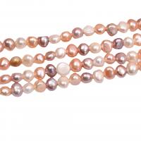 Perles de culture d'eau douce Keishi, perle d'eau douce cultivée, DIY, couleurs mélangées, 6-7mm, Vendu par 36-38 cm brin
