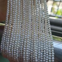 Apvalūs Kultūringas gėlavandenių perlų karoliukai, Gėlo vandens perlų, Pasidaryk pats, baltas, Parduota už Apytiksliai 38 cm Strand