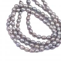 Perlas Arroz Freshwater, Perlas cultivadas de agua dulce, Bricolaje, gris, 4-5mm, Vendido para 36-38 cm Sarta