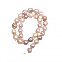 Barock odlad sötvattenspärla pärlor, Freshwater Pearl, DIY, blandade färger, 12-13mm, Såld Per Ca 38 cm Strand