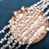 Barock kultivierten Süßwassersee Perlen, Natürliche kultivierte Süßwasserperlen, DIY, weiß, 7-8mm, verkauft per 36-39 cm Strang