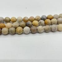 Piedra Crisantemo Abalorio, Esférico, pulido, Bricolaje, color mixto, Vendido para aproximado 38 cm Sarta