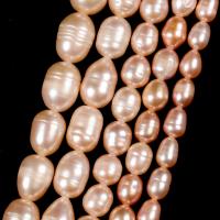 Perlas Arroz Freshwater, Perlas cultivadas de agua dulce, Bricolaje, Champaña, Vendido para aproximado 38 cm Sarta