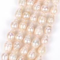 Barokní kultivované sladkovodní perle, Sladkovodní Pearl, DIY, bílý, 8x10mm, 28PC/Strand, Prodáno za Cca 38 cm Strand