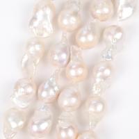 Barocco coltivate in acqua dolce Perla, perla d'acquadolce coltivata naturalmente, DIY, bianco, 14x22mm, 18PC/filo, Venduto per Appross. 38 cm filo
