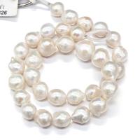 Perles nacres baroques de culture d'eau douce , perle nucléée de culture d'eau douce, Naturel & DIY, blanc, 10-15mm, Vendu par 36-40 cm brin