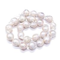 Cultured Baroque Freshwater Pearl Beads, Cultured Freshwater Nucleated Pearl, Natural & DIY, white, 12-13mm, Sold Per 36-40 cm Strand